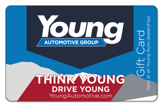 young automotive group logo on a snowy mountain top background with blue sky